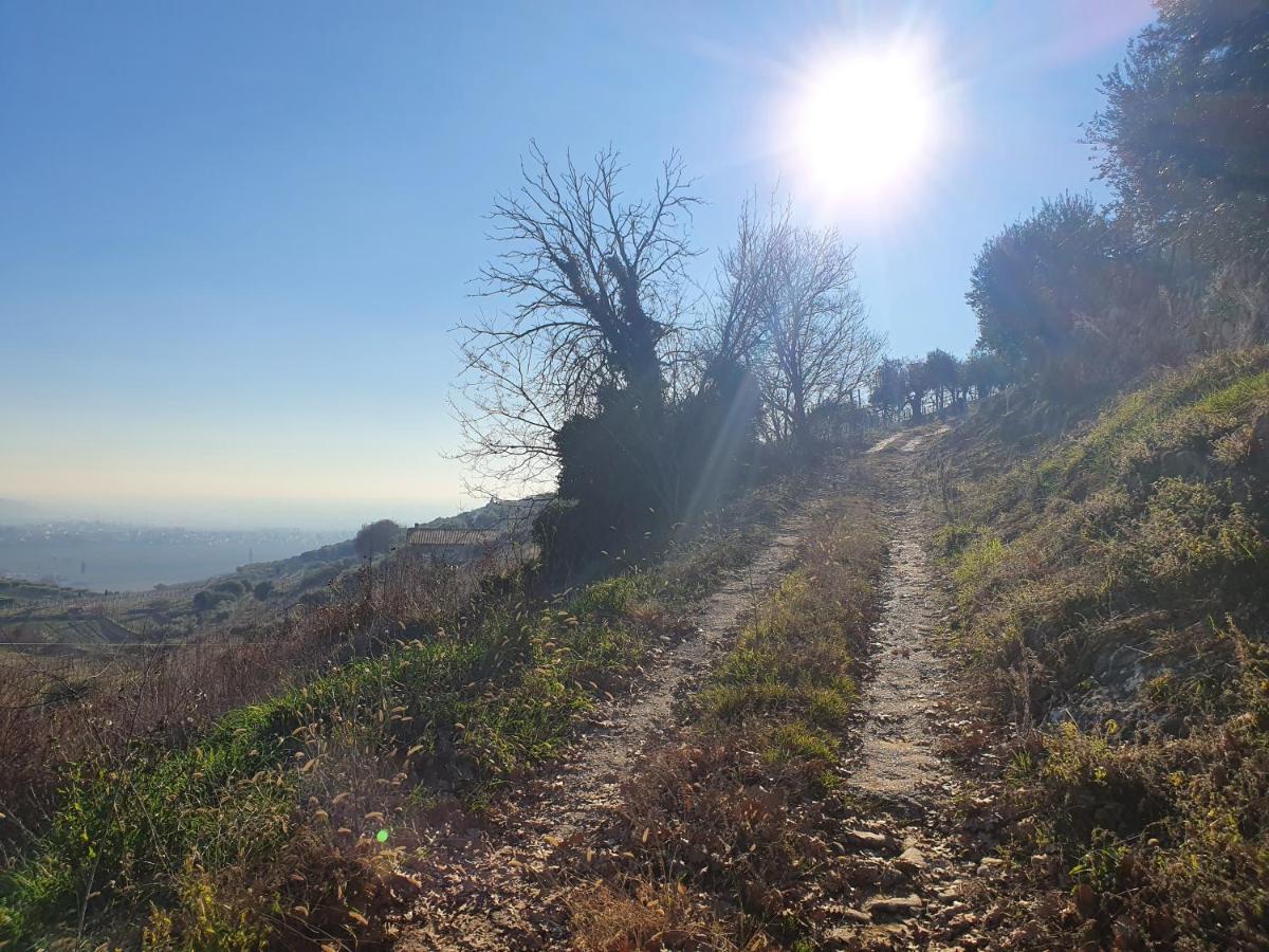 L'antico Granaio